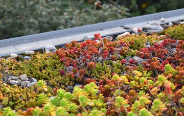 the cost of Coads Green green roof installation