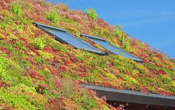 Coads Green living roof systems